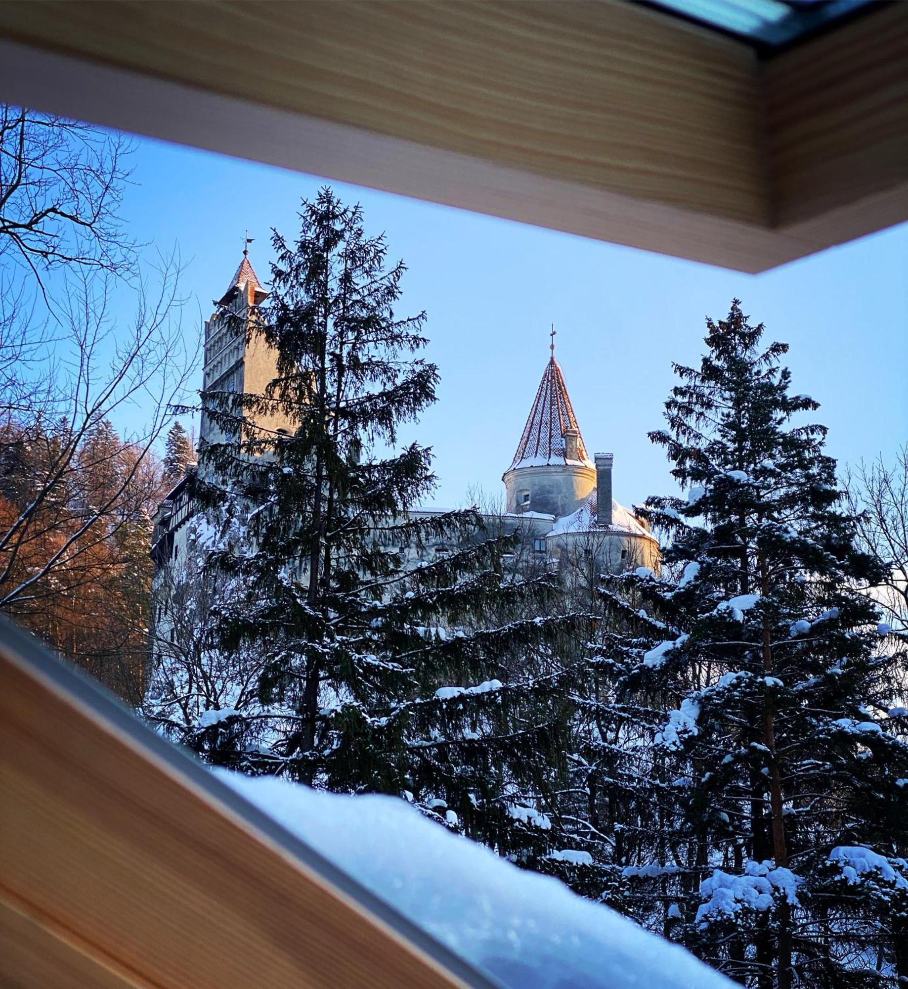 Queen'S Heart Guesthouse Bran  Exteriör bild